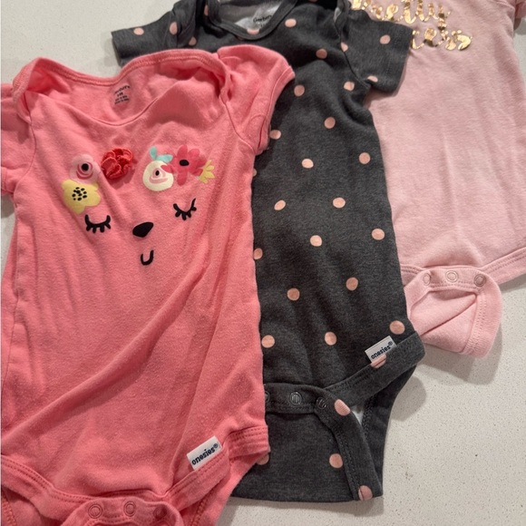 Gerber Baby Bodysuits - Pink and Gray - Picture 1 of 6